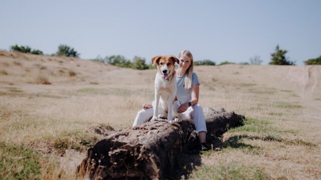 ELLINO dogtraining