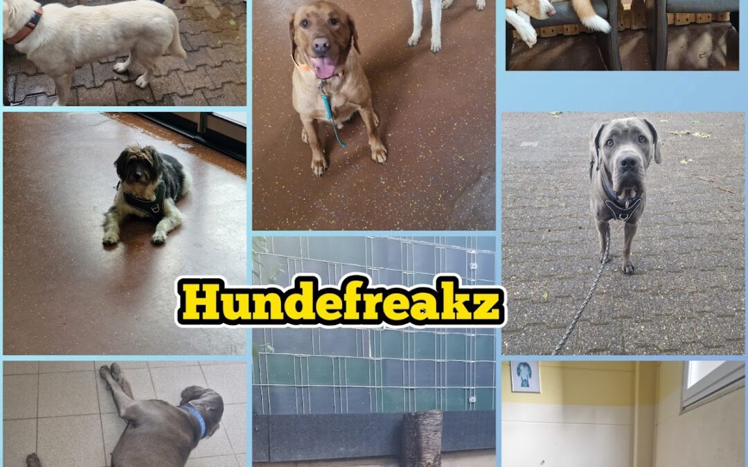 Hundefreakz