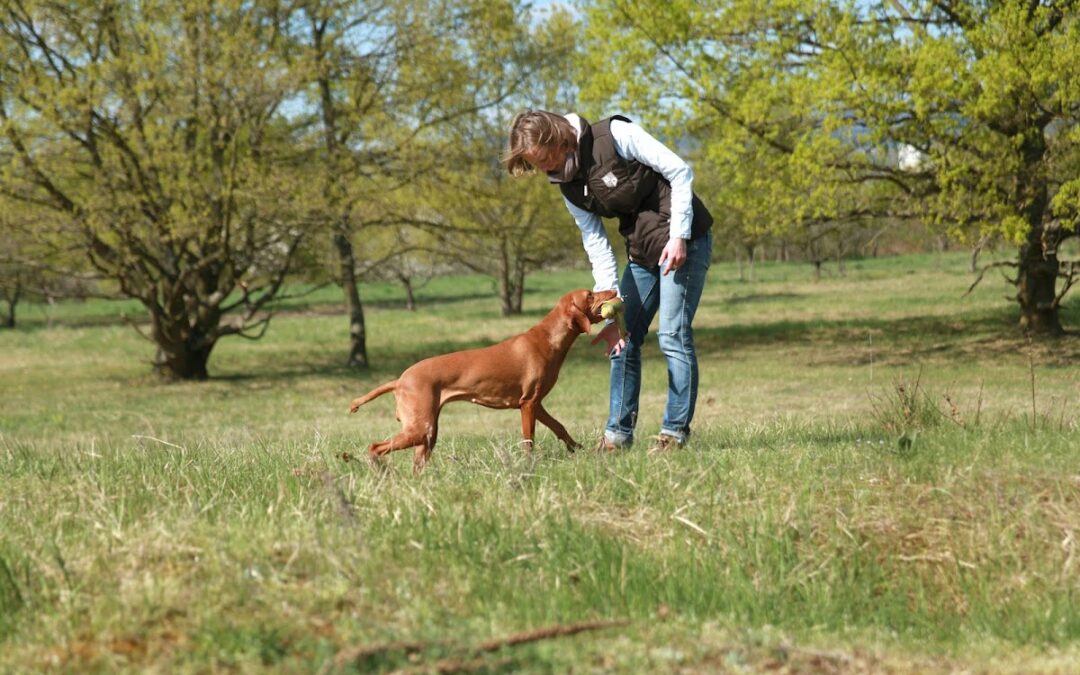 Hundeschule FamilienJagdHund