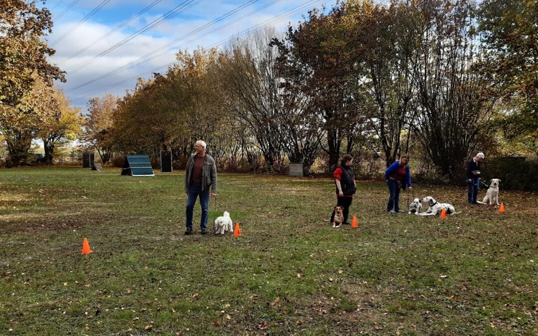 Hundesportverein Mainz-Laubenheim e.V.