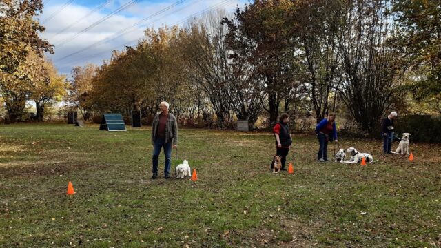 Hundesportverein Mainz-Laubenheim e.V.